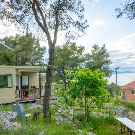 Among The Trees * Shiroka