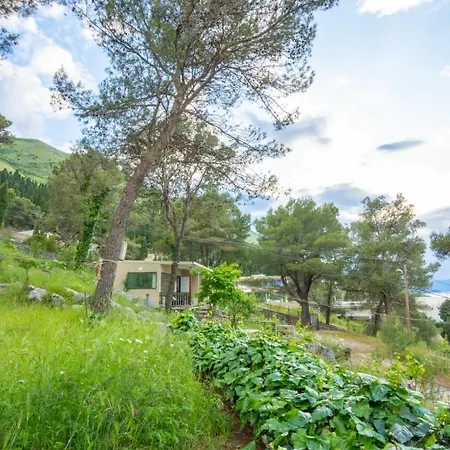 Among The Trees Široka