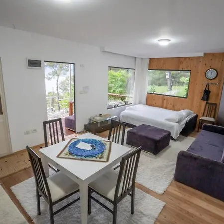 Сasa de vacaciones Among The Trees *