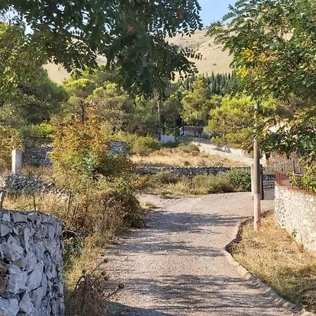 Among The Trees Сasa de vacaciones