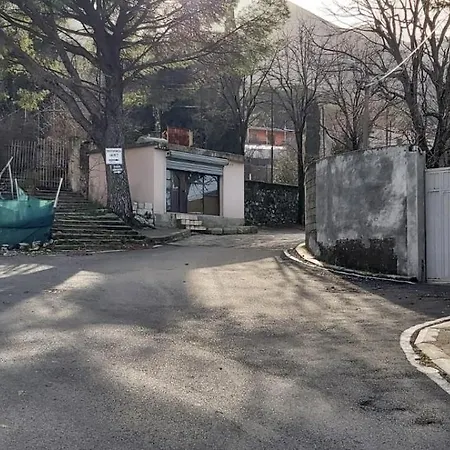 Among The Trees Široka